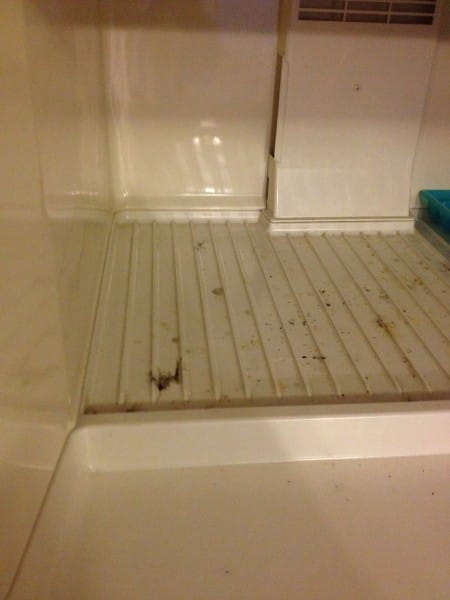 Mold in refrigerator
